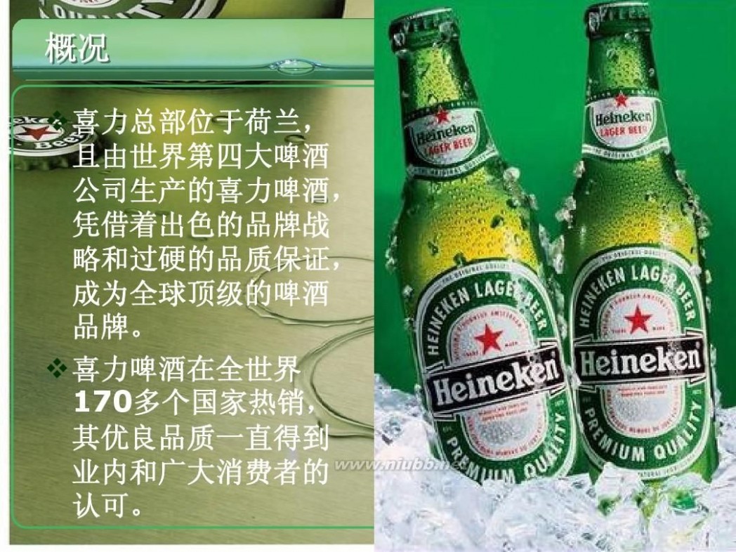 喜力国际 国际市场营销方案_喜力啤酒 2013
