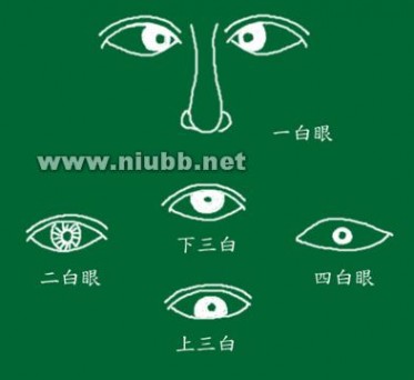 相学——三白眼与四白眼