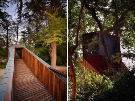  穿梭林间的葡萄牙梦幻木屋
