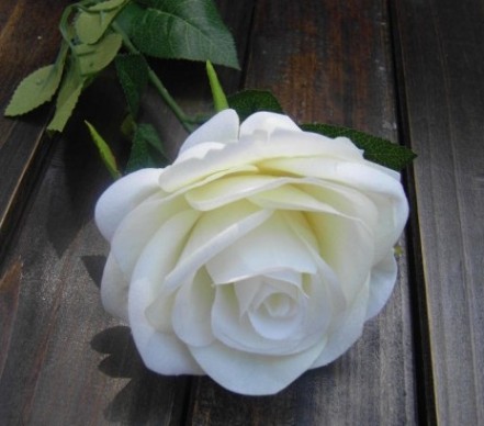 白玫瑰代表什么