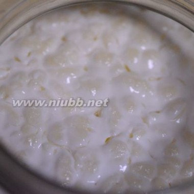 藏灵菇 自制藏灵菇酸奶,自制藏灵菇酸奶的做法,自制藏灵菇酸奶的家常做法