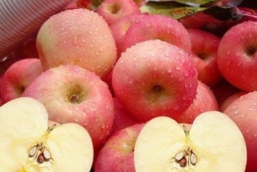 苹果的营养 苹果有什么营养价值 苹果可防治16种常见疾病