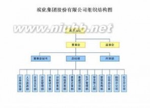 滨化集团股份有限公司：滨化集团股份有限公司-集团简介，滨化集团股份有限公司-组织结构_滨化集团公司