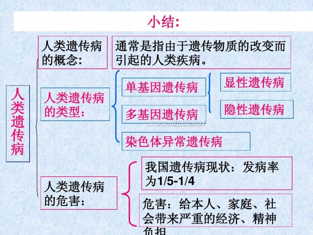 遗传病 人类遗传病