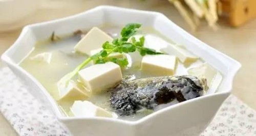 豆腐美食 50种豆腐做法，比肉都好吃！