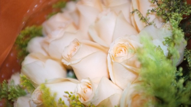 香槟玫瑰的花语 香槟玫瑰的花语是什么 不同朵数香槟玫瑰花语大全