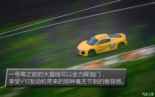 奥迪(进口) 奥迪R8 2016款 V10 Coupe Performance