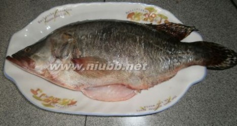 桂鱼怎么做 红烧桂鱼的做法，红烧桂鱼怎么做好吃，红烧桂鱼的家常做法