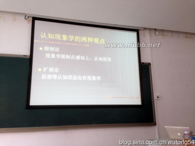 讲座：从知觉现象学到认知现象学_wutong