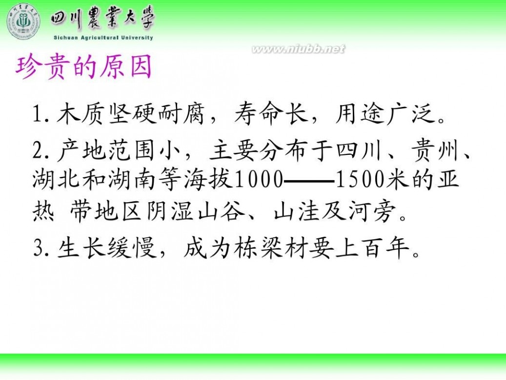 林学概论 四川农业大学 林学概论课件