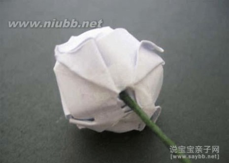 玫瑰花折纸图解 美丽的川崎玫瑰折纸教程详细图解