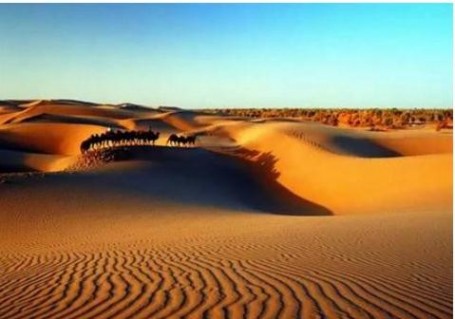 大漠人 有关大漠的优秀散文作品