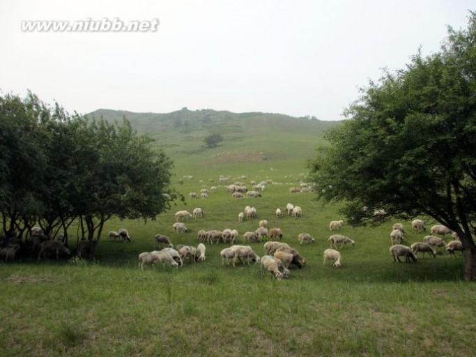 承德避暑山庄与木兰围场游记