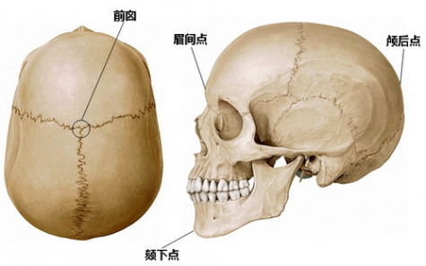 识骨寻踪 识骨寻踪速成班：身高篇