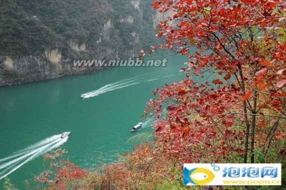 十一月份适合去哪里旅游 2013年11月份适合去哪里旅游 去哪里玩 十一月份去哪里旅游好