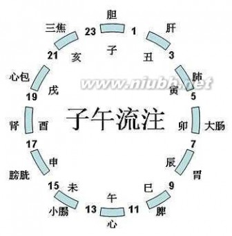 十二经络养生 十二时辰与十二经络的养生之道