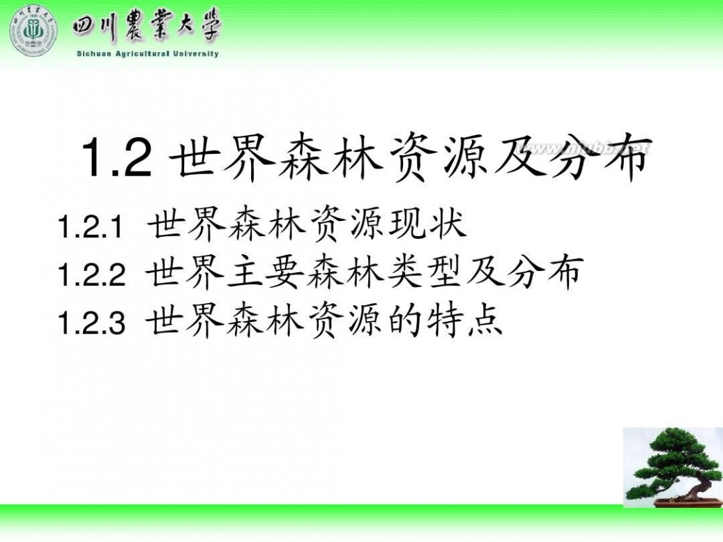 林学概论 四川农业大学 林学概论课件