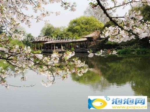 杭州西湖新十景 杭州西湖新十景图片