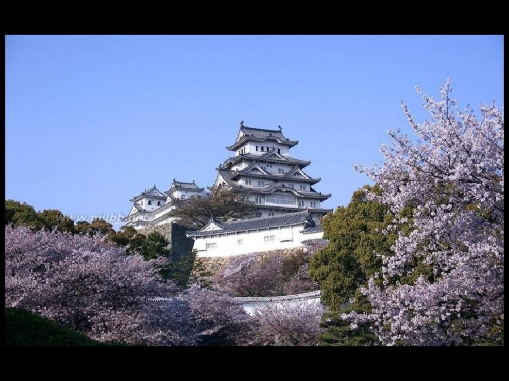 日本樱花图片 日本最美樱花摄影图片精选