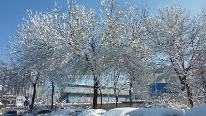 七律春分日喜雪——北京十年来最美的雪景（2013.3.20北京雪景图片）