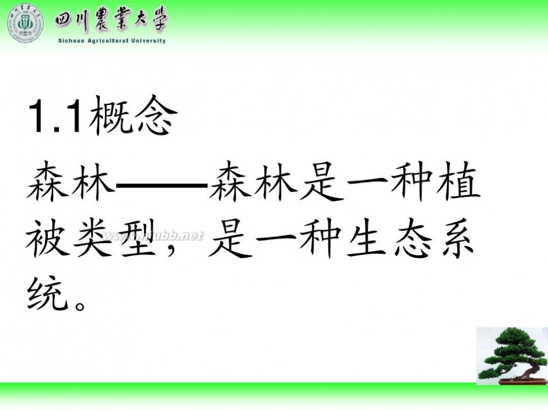 林学概论 四川农业大学 林学概论课件