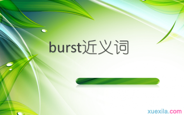 burst burst的近义词辨析