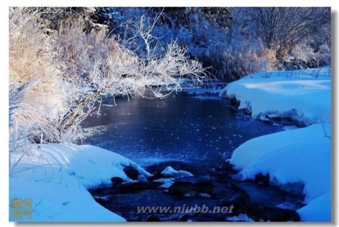 【美图欣赏】北国风光，千里冰封，万里雪飘