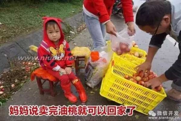 人人店 人人店助陕西果农卖出15吨滞销油桃