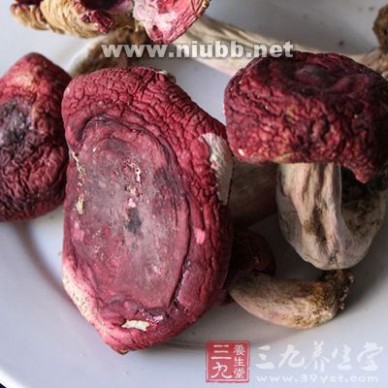 红菇 红菇的营养价值 红菇的作用有哪些