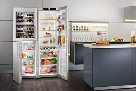 利勃海尔奢华冰箱打造顶级厨房完美解决方案_利勃海尔