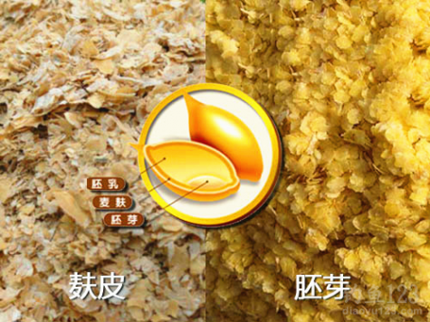 小麦胚芽 细说小麦胚芽与麸皮的特点与应用（上）