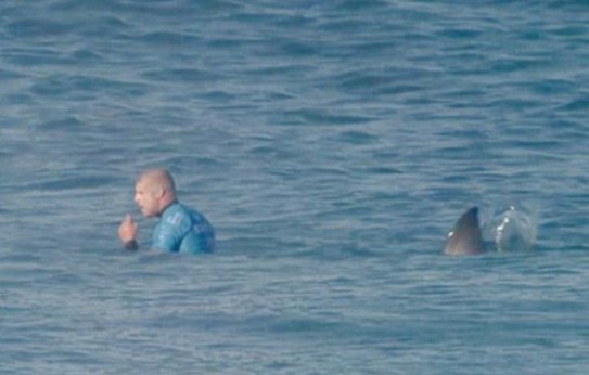运动员遭鲨鱼袭击：米克·范宁惊险逃脱