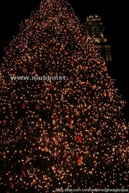 纽约第五大街 实拍纽约第五大街超级圣诞树