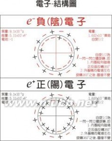 电子显微镜：电子显微镜-基本简介，电子显微镜-技术介绍_显微镜图片