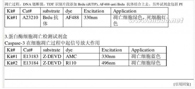 核酸染料 常用核酸染料