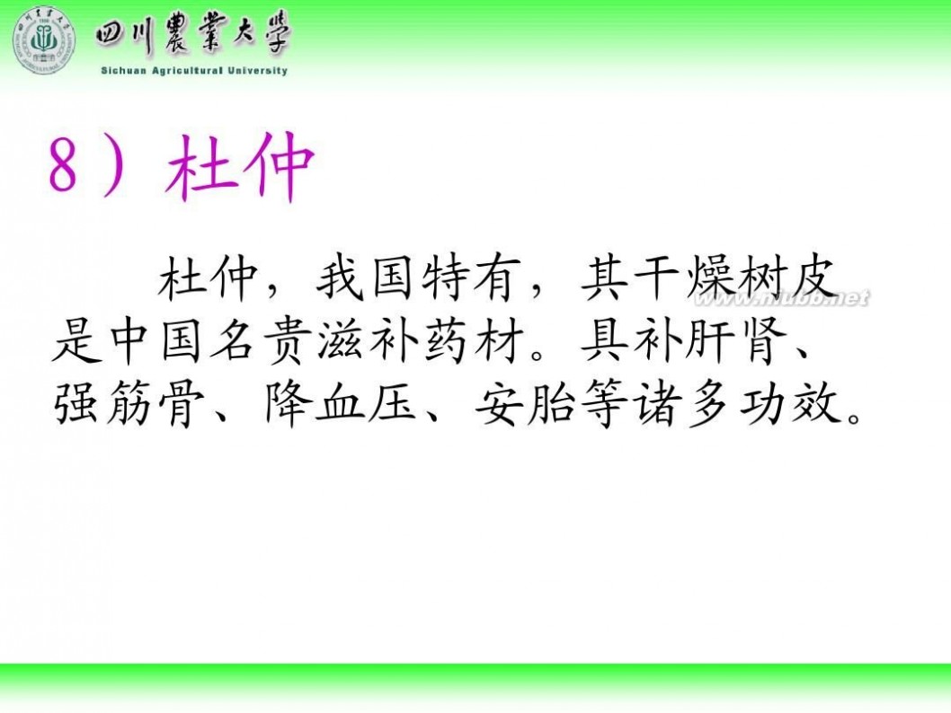 林学概论 四川农业大学 林学概论课件