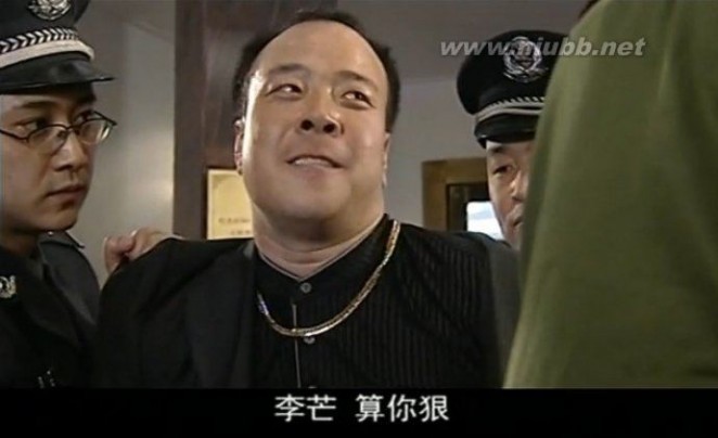 裸雪 【反腐剧回顾】2003年《裸雪》演员表、简介、截图与赵恒煊相册视频