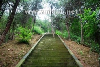 重庆市玉峰山森林公园