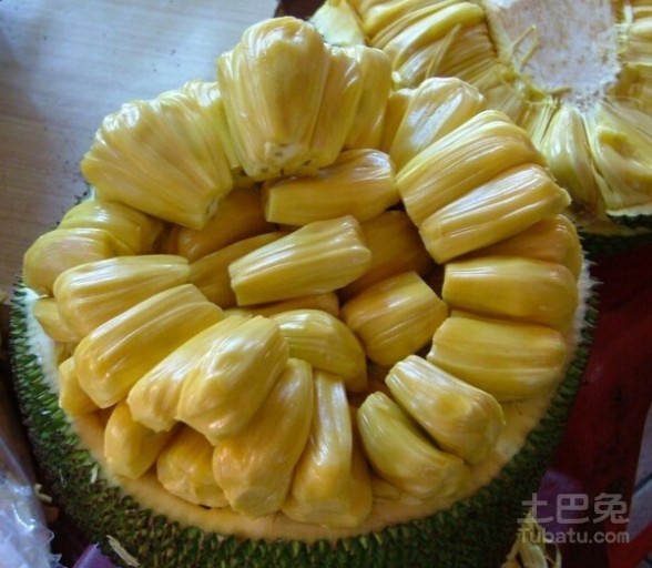 菠萝怎么吃 吃货必看：大树菠萝怎么吃？