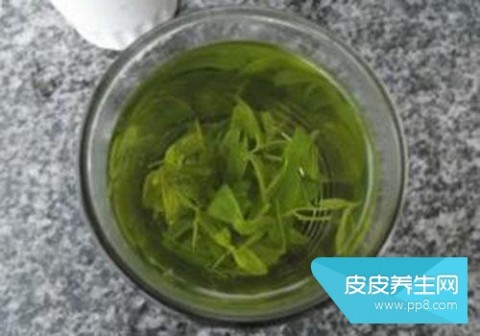酸枣的功效与作用 酸枣叶可以拿来泡茶喝吗？酸枣叶有什么作用和功效？