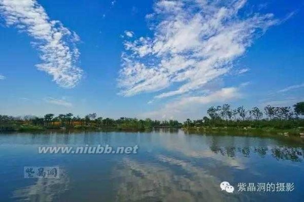 周浦花海 国庆上海周浦花海惊现“花千骨”【主题游：赏花】