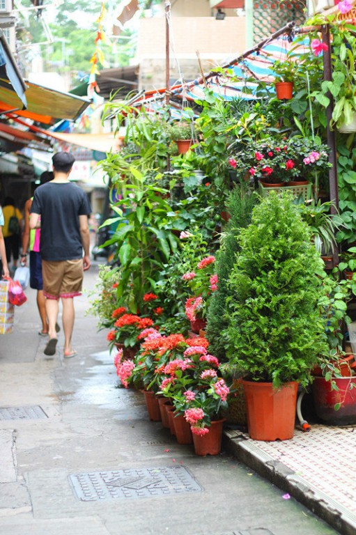  香港南丫岛旅游攻略 吃货夫妻逛吃游香港长洲之旅(游记)