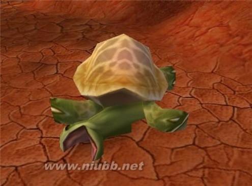 梦见乌龟是什么意思 梦见乌龟 周公解梦梦见大乌龟死了是什么意思