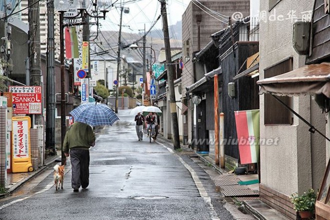 【日本】烟雨奈良，朦胧了一纸樱花梦