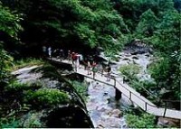 青龙山森林公园：青龙山森林公园-基本信息，青龙山森林公园-景区简介_唐寨山森林公园