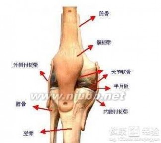 韧带撕裂 右膝内侧半月板损伤右内侧副韧带撕裂怎么办