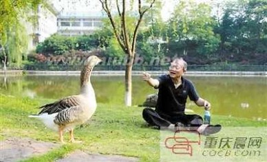 学术猫 中国大学校园神兽排行榜出炉：北大学术猫居首