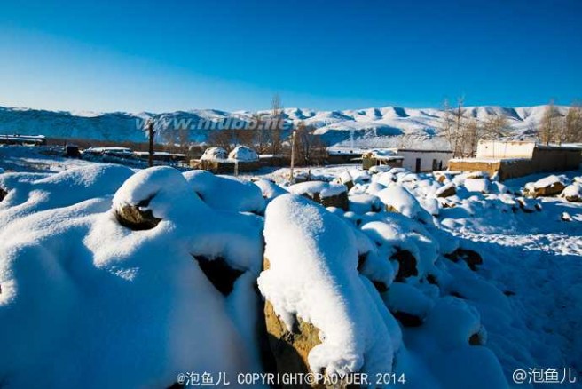 滑雪板 【新疆】阿勒泰，毛皮滑雪板演绎古老滑雪传统