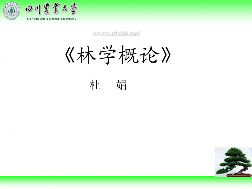 林学概论 四川农业大学 林学概论课件