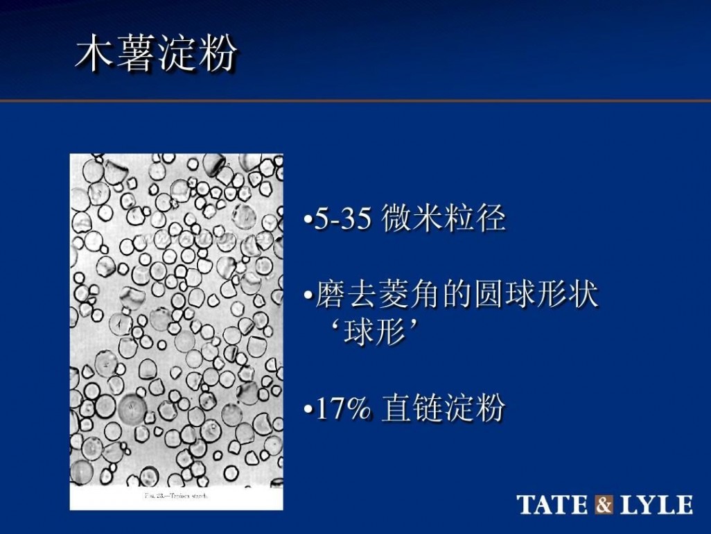 star-413 淀粉的种类和使用